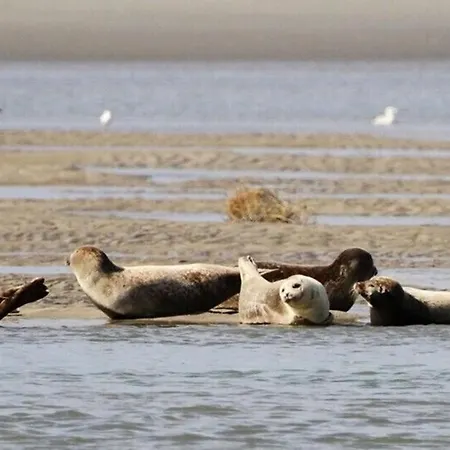 5 Min A Pied De La - 2 Pers - D Appartement
